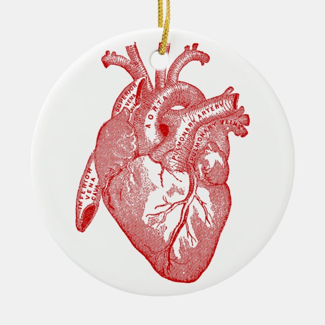 Red Antique Anatomical Heart Ceramic Tree Decoration (Front)