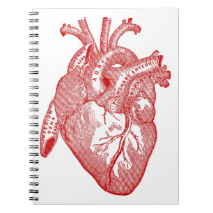 Red Antique Anatomical Heart Spiral Notebook