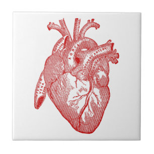 Red Antique Anatomical Heart Tile