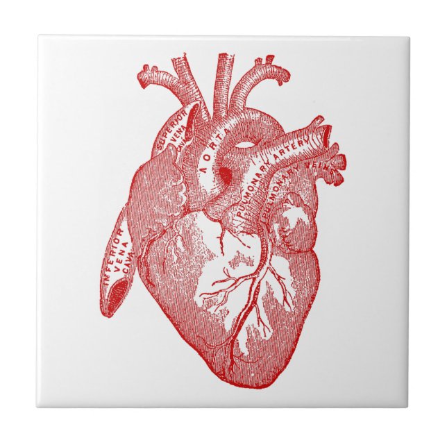 Red Antique Anatomical Heart Tile (Front)