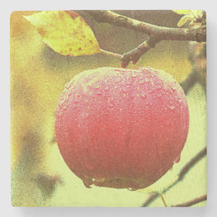 "Red Apple" Cute Photo. Buy Now Stone Coaster