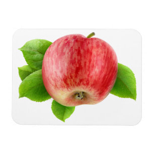 Red apple magnet