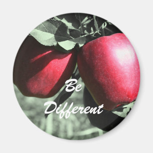 Red Apples Be Different Motivational Magnet