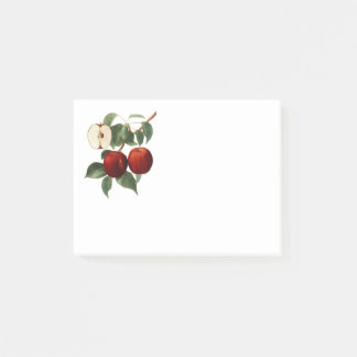Red Apples Botanical Teacher Name 4x3 Post-it Notes