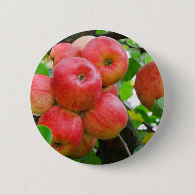 Red Apples on Tree 6 Cm Round Badge (Front)