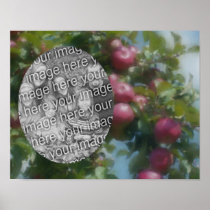 Red Apples On Tree Art Create Your Own Photo Poster