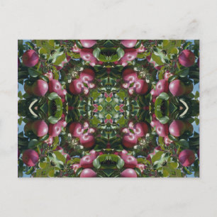 Red Apples On Tree Kaleidoscope Art Postcar Postcard