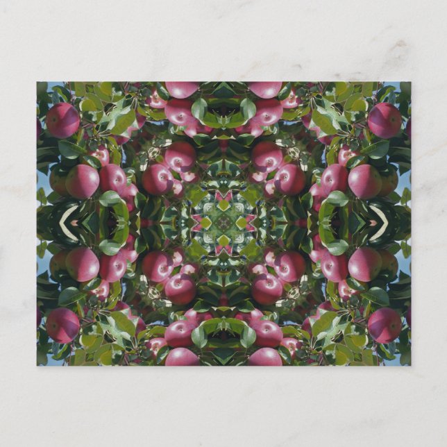 Red Apples On Tree Kaleidoscope Art Postcar Postcard (Front)