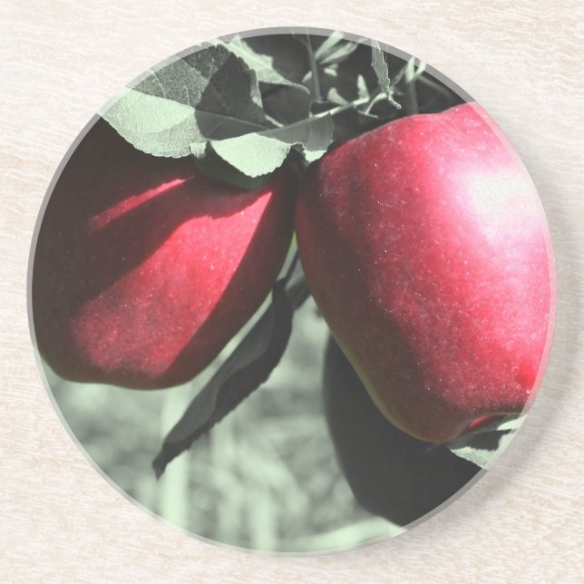 Red Apples On Tree Nature Coaster (Front)