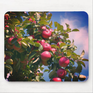 Red Apples On Tree Nature  Mouse Pad