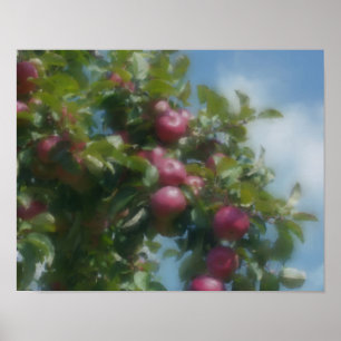 Red Apples On Tree Photo Painting Poster