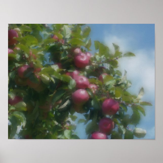 Red Apples On Tree Photo Painting Poster (Front)