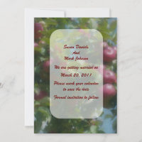 Red Apples On Tree Wedding Save The Date