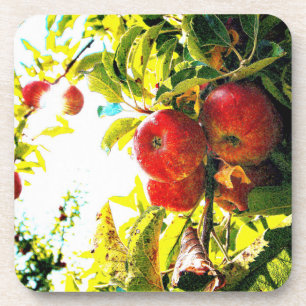 "Red Apples Tree On Sunny Day" Cute Photo. Buy Now Coaster