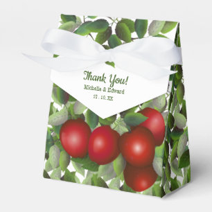 Red Apples Wedding Thank You Favour Box