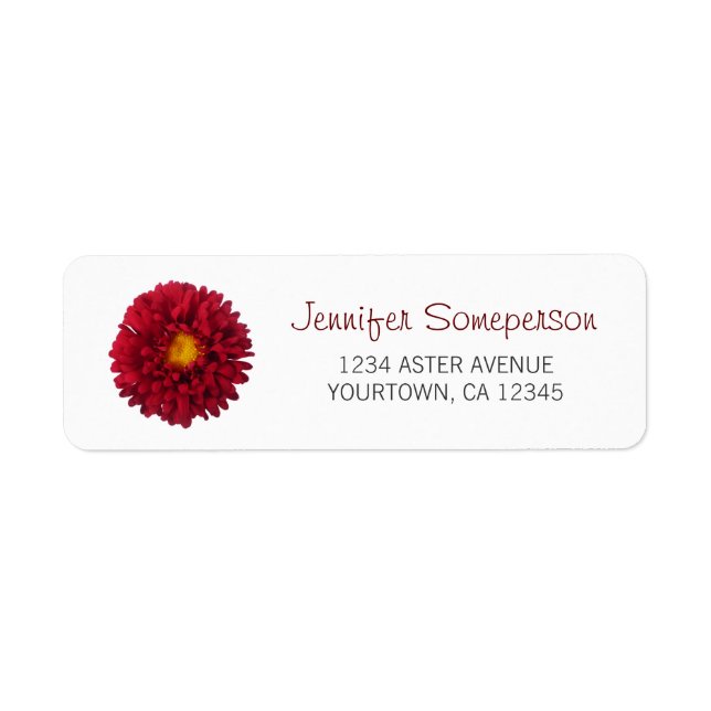 Red Aster (Front)