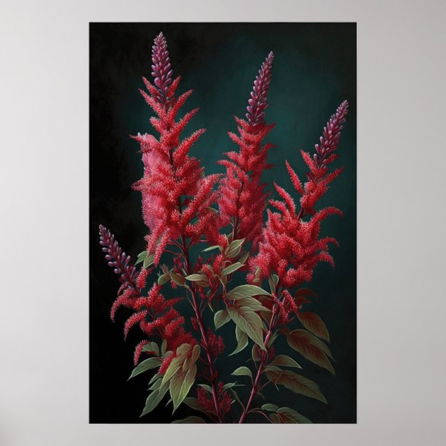 Red Astilbe Flower Art Print Poster (Front)