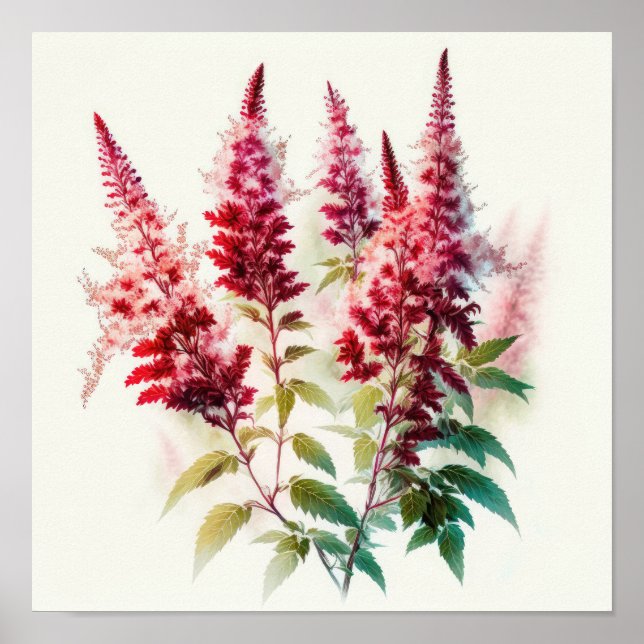Red Astilbe Flower Art Print Poster (Front)