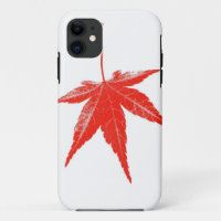 Red autumn leaf on white