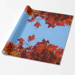 Red Autumn Leaves and Blue Sky Wrapping Paper