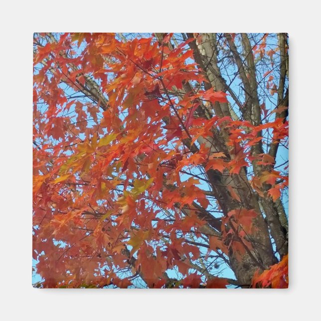 Red Autumn Leaves Magnet (Front)