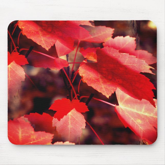 Red Autumn Leaves Nature  Mouse Pad (Front)
