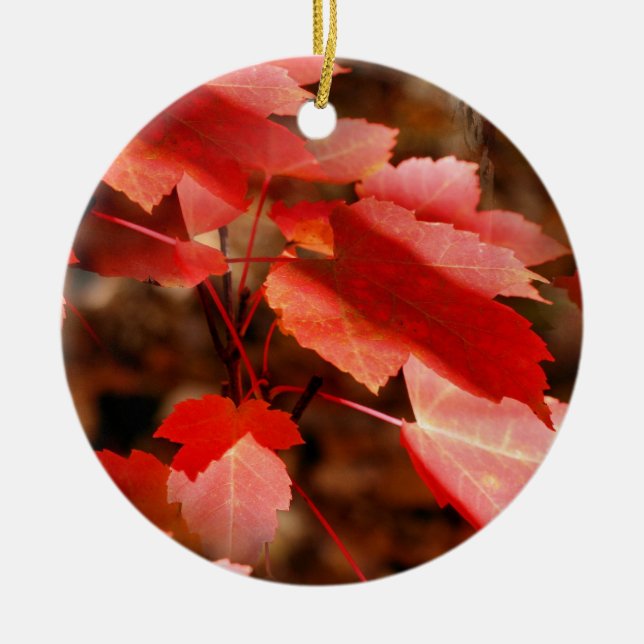 Red Autumn Leaves Nature Ornament (Front)
