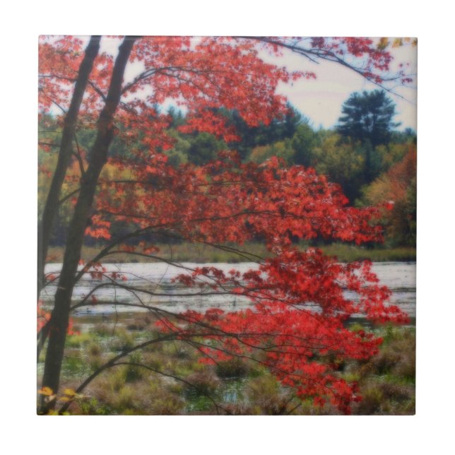 Red Autumn Leaves Pond Nature Art Tile (Front)