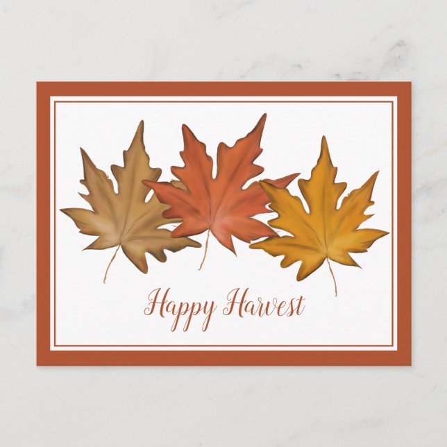 Red Autumn Maple Leaf Elegant Nature Harvest Holiday Postcard (Front)