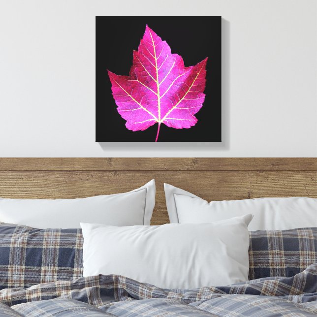 Red Autumn Maple Leaf on Black Background Canvas Print (Insitu(Bedroom))