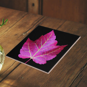 Red Autumn Maple Leaf on Black Background Tile