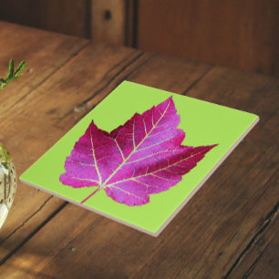 Red Autumn Maple Leaf on Green Floral Tile
