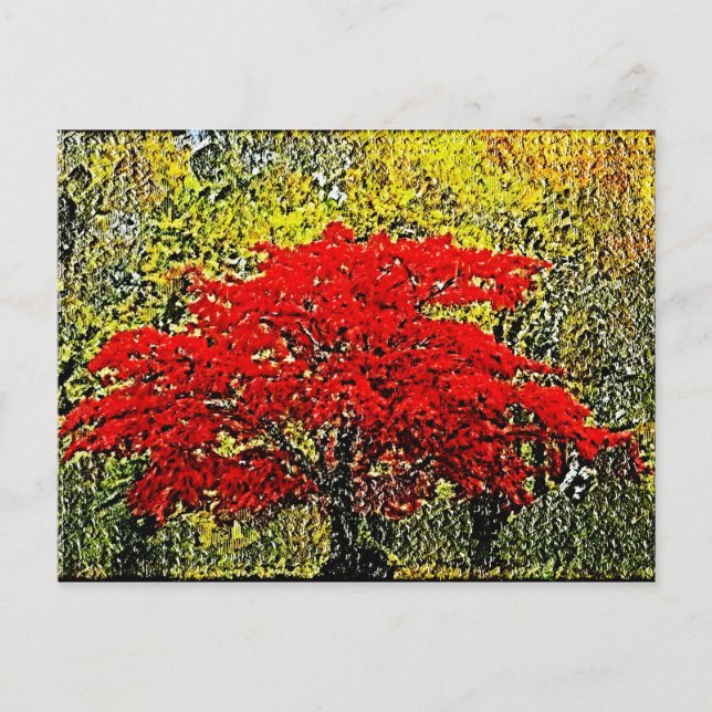 Red Autumn Painting Art Postcards (Front)
