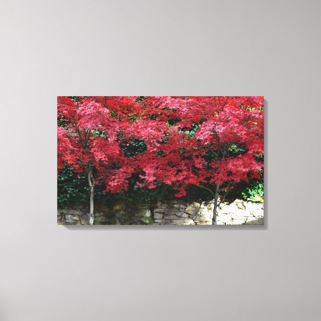 Red Autumn Trees Canvas Print (Front)