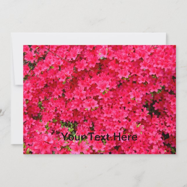 Red Azalea Flower Patch Invitation (Front)
