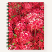 Red Azalea Notebook