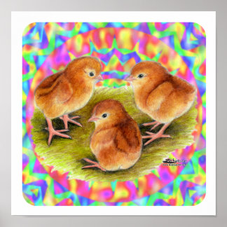 Red Baby Chicks Poster