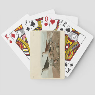 Red backed Sandpiper - Audubon's Birds of America Playing Cards