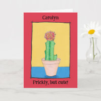 Red ball cactus, prickly but cute, your name