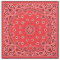 Red Bandanna Fabric