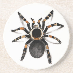 Red Banded Tarantula Spider Coaster