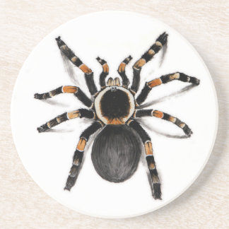 Red Banded Tarantula Spider Coaster