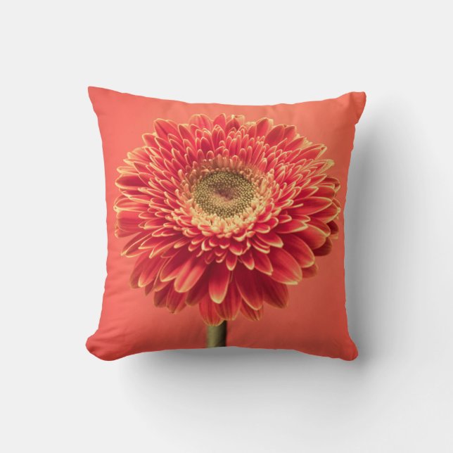 Red Barberton Gerbera Daisy Flower Cushion (Front)