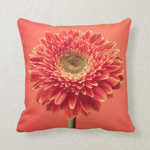 Red Barberton Gerbera Daisy Flower Cushion