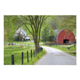 Red barn and farm house near Berlin, Ohio. Photo Print