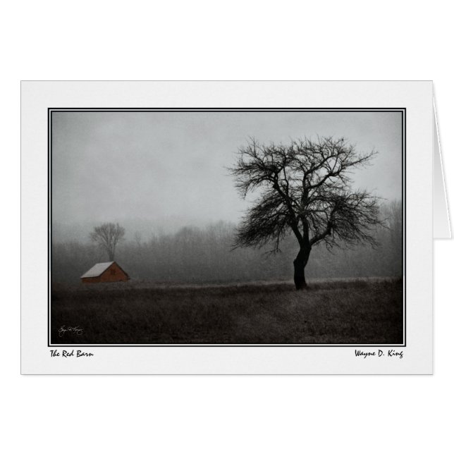 Red Barn & Apple Tree (Front Horizontal)