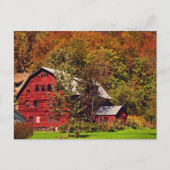 Red Barn in Autumn Postcard (Front)
