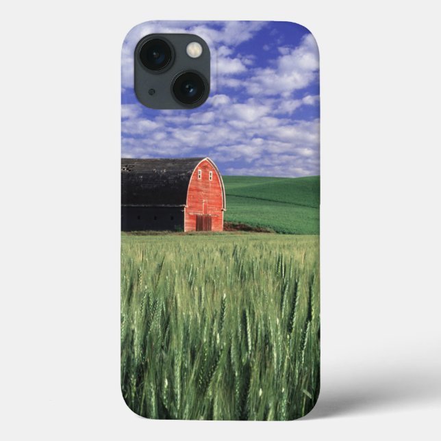 Red barn in wheat & barley field in Whitman 2 Case-Mate iPhone Case (Back)