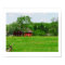 Red Barn Scenic Photograph