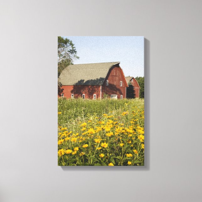 Red Barn with Yellow Wildflowers Canvas Print (Front)